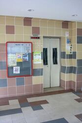 Blk 808 Woodlands Street 81 (Woodlands), HDB Executive #586804101